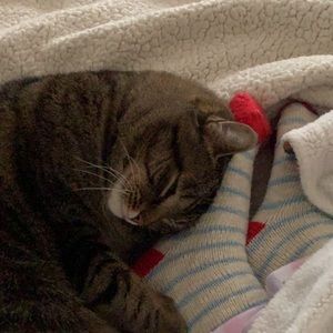 Meet your Posher, Antonio